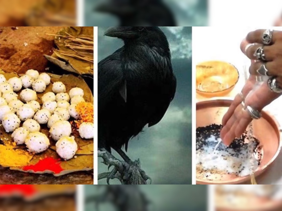 Pitru Paksha 2022: पितृ पक्ष कधीपासून सुरु होणार? पिंड दान करण्यापूर्वी 'या' बाबी लक्षात ठेवा title=