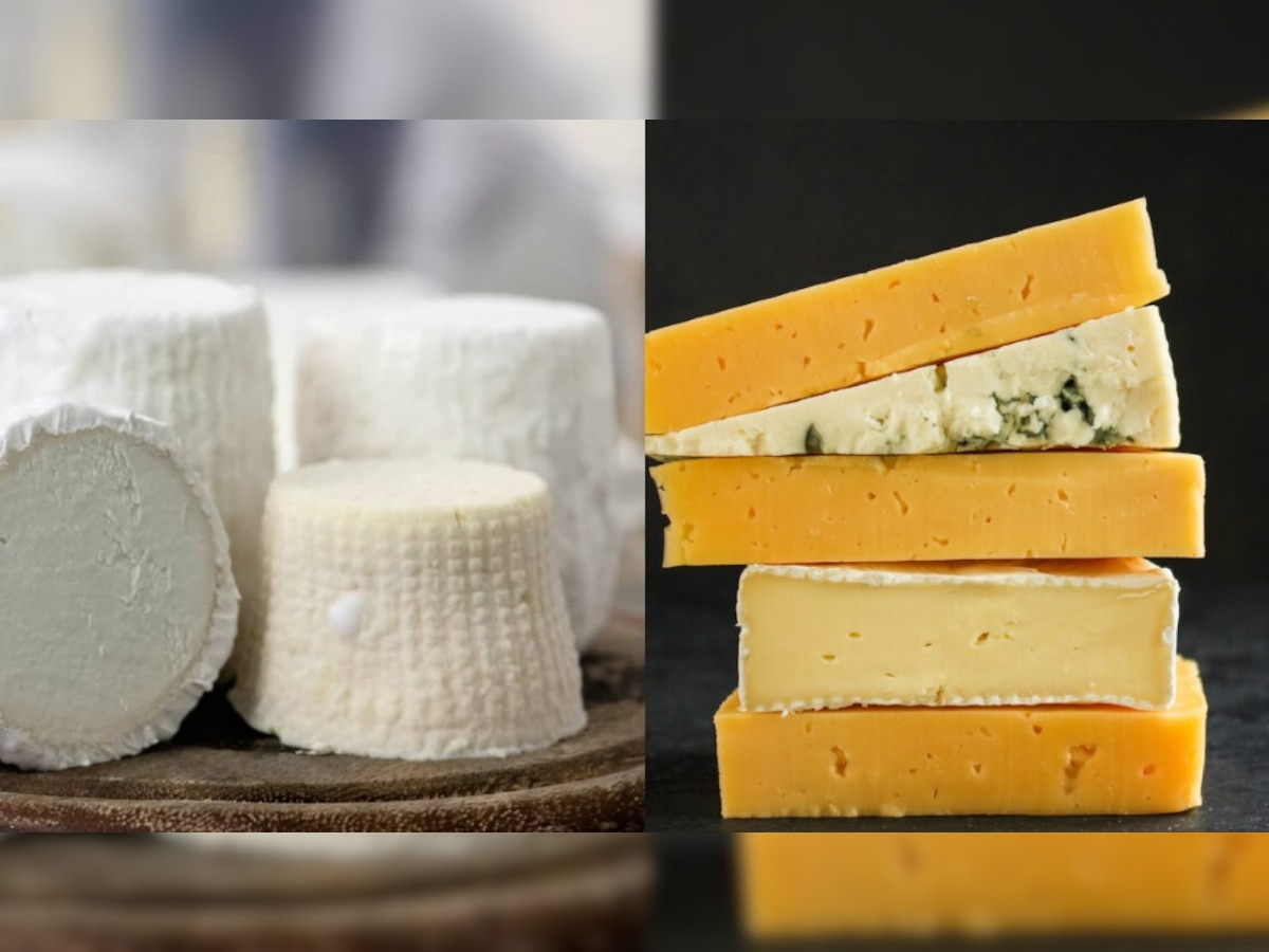 World’s Most Expensive Cheese: या जनावराच्या दुधापासून जगातील सर्वात महागडे बनवले जाते पनीर, किंमत ऐकून बसेल धक्का title=