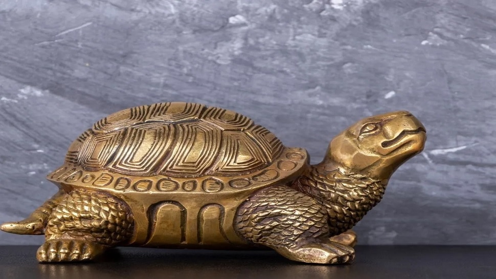 vastu tips for metal turtle right place for turtle at home
