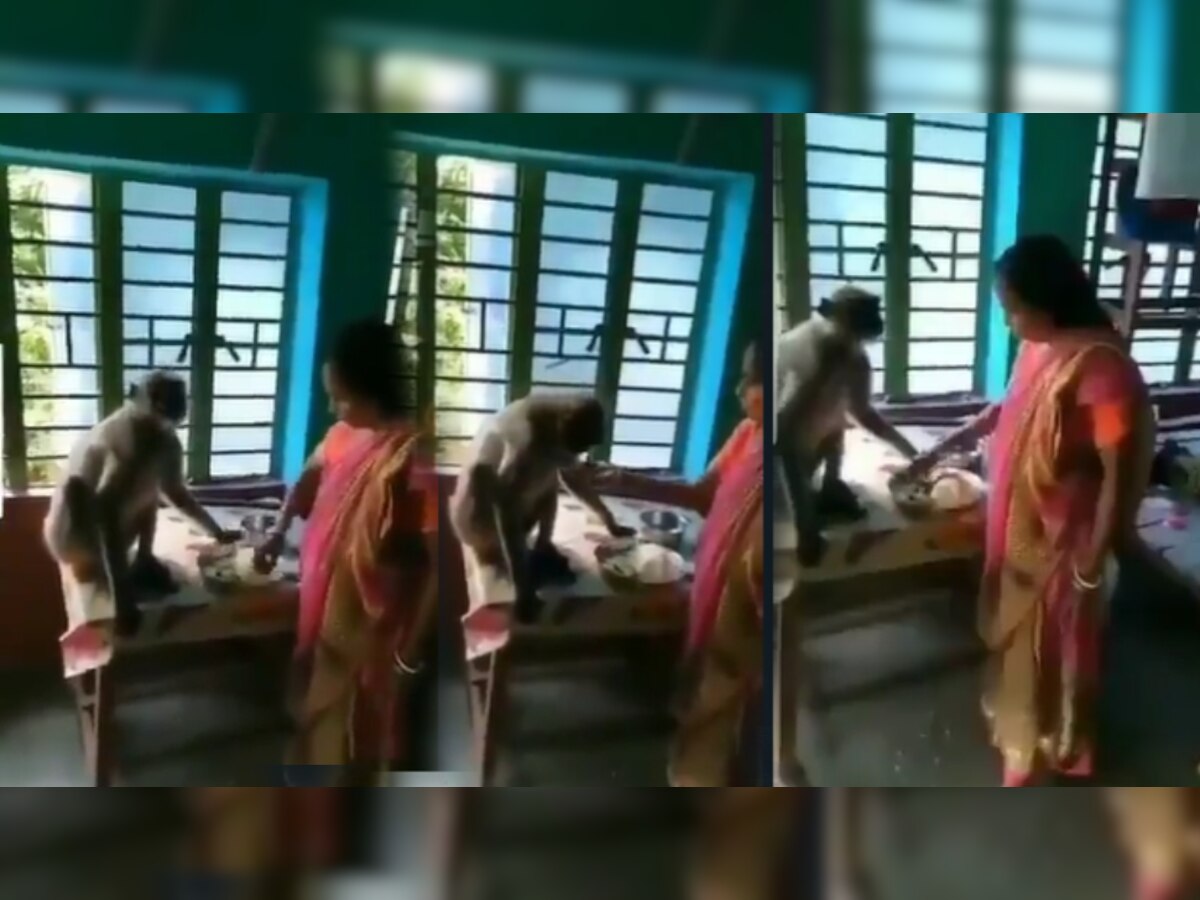 'ही' महिला मायेनं भरवते माकडाला घास, आई ही शेवटी आईच असते; पाहा Viral Video  title=