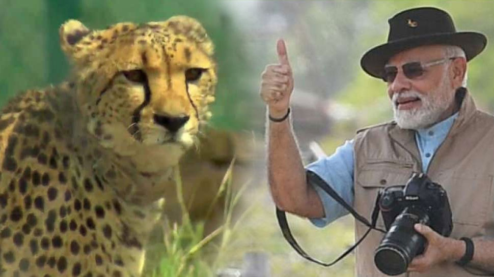pm narendra modi using this special camera to capture cheetah photo