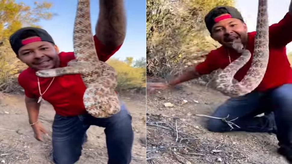 snake catcher man viral video with dangerous got attacked video viral