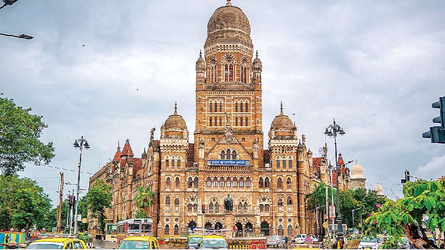 stray cats 1 crore provision in the budget from Mumbai Municipal ...