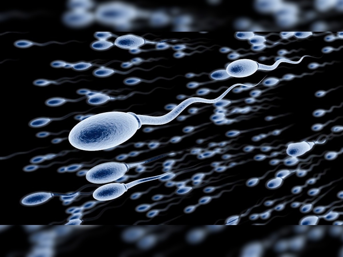 Sperm Count : शुक्राणूंची संख्या वाढवण्यासाठी पुरुषांनी 'या' पदार्थांचे सेवन करावे title=