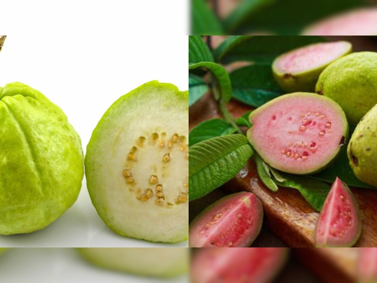 Which is Better Pink or White Guava: गुलाबी की पांढरा पेरू? आरोग्यासाठी फायद्याचं काय, एकदा पाहाच  title=