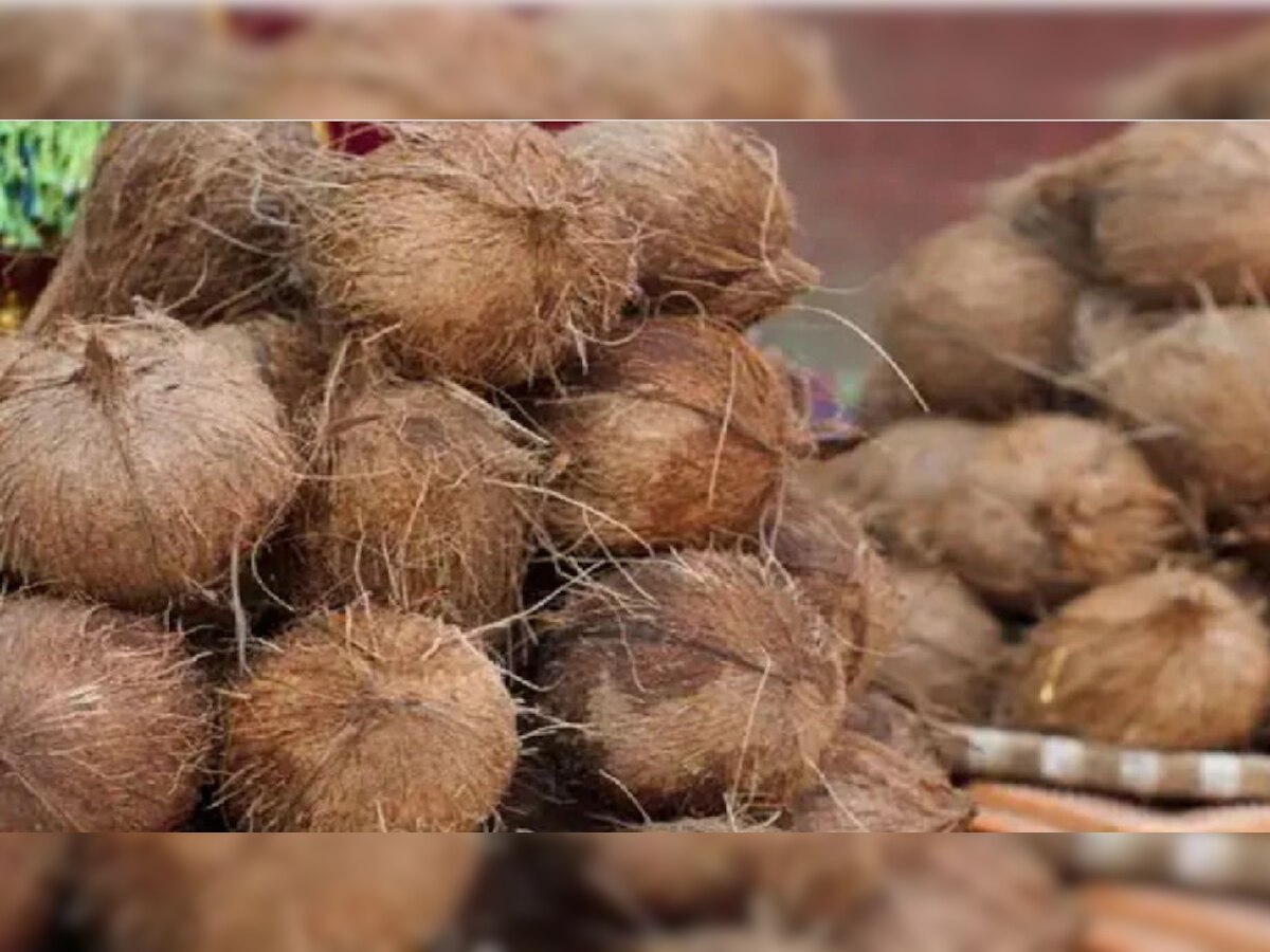 Coconut : नारळ फोडताय? 'या' गोष्टीची विशेष काळजी घ्या  title=