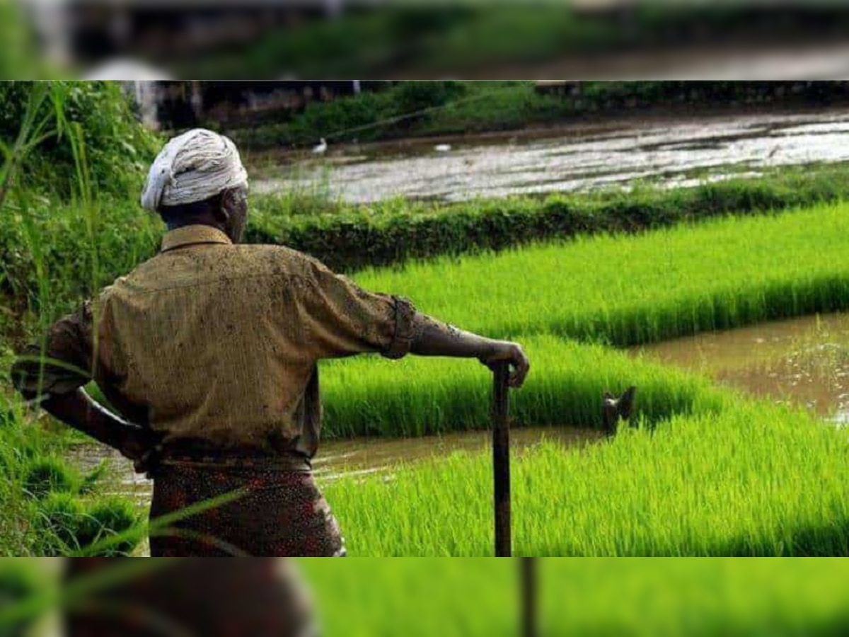 Crop : शेतकऱ्यांसाठी महत्त्वाची बातमी, 'हे' मॉडेल वाचवणार तुमचं पीक  title=