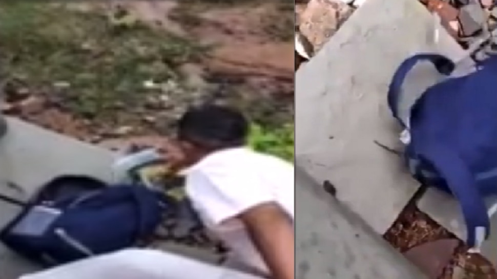 Trending Viral Big Snake Came Out Of School Bag Video Goes Viral And ...