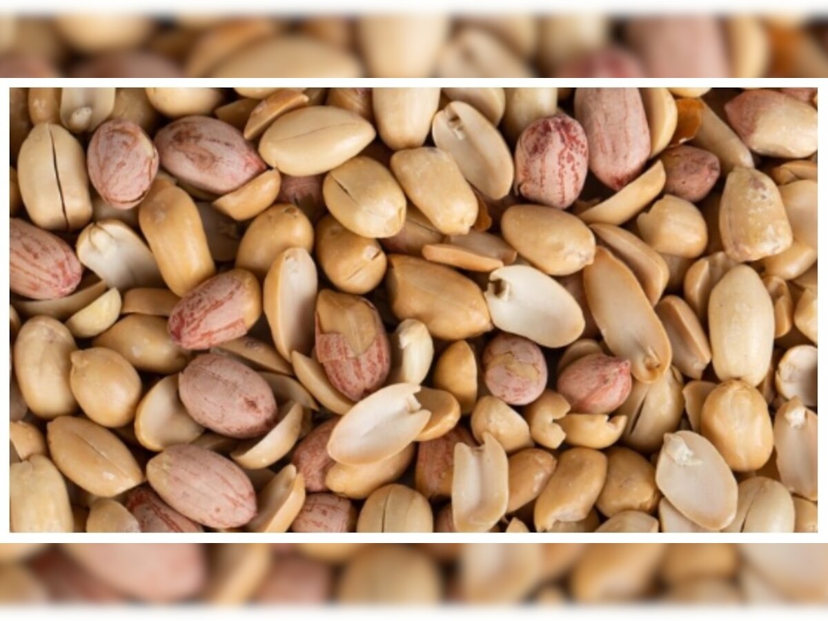 Peanut For Health: शेंगदाणे खाल्ल्याने शरीरावर काय परिणाम होतो? जाणून घ्या  title=