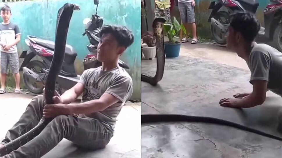 viral snake dance video its very much dangerous don't even try watch