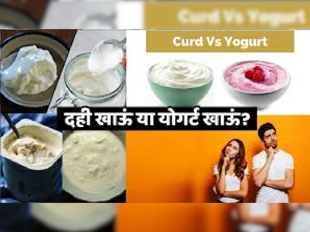 Curd Or Yogurt: तुम्हाला दही खायला आवडतं नाही, मग Yogurt कधी ट्राय केलं आहे का? title=