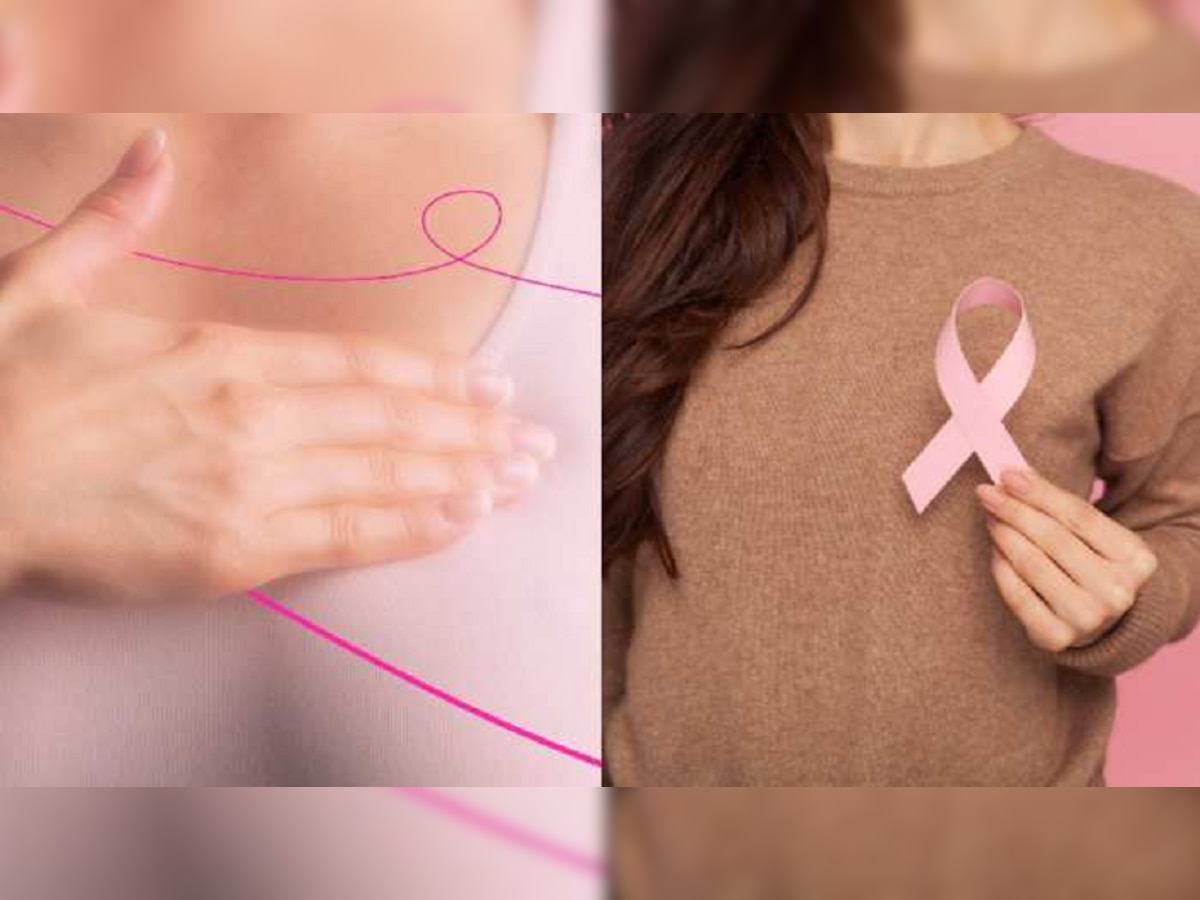 Breast Cancer Awareness Month 2022: कर्करोगाची 'ही' 6 लक्षणे तुमच्यात दिसली तर लवकरच डॉक्टरांचा सल्ला घ्या title=