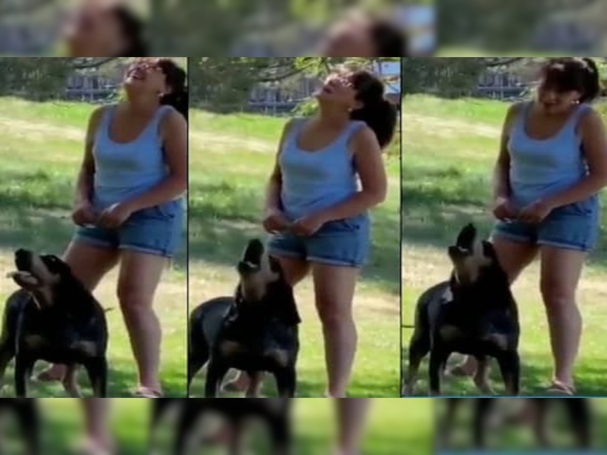 Viral Video: हॅलो म्हणणारा Dog चा सोशल मीडियावर धुमाकूळ  title=