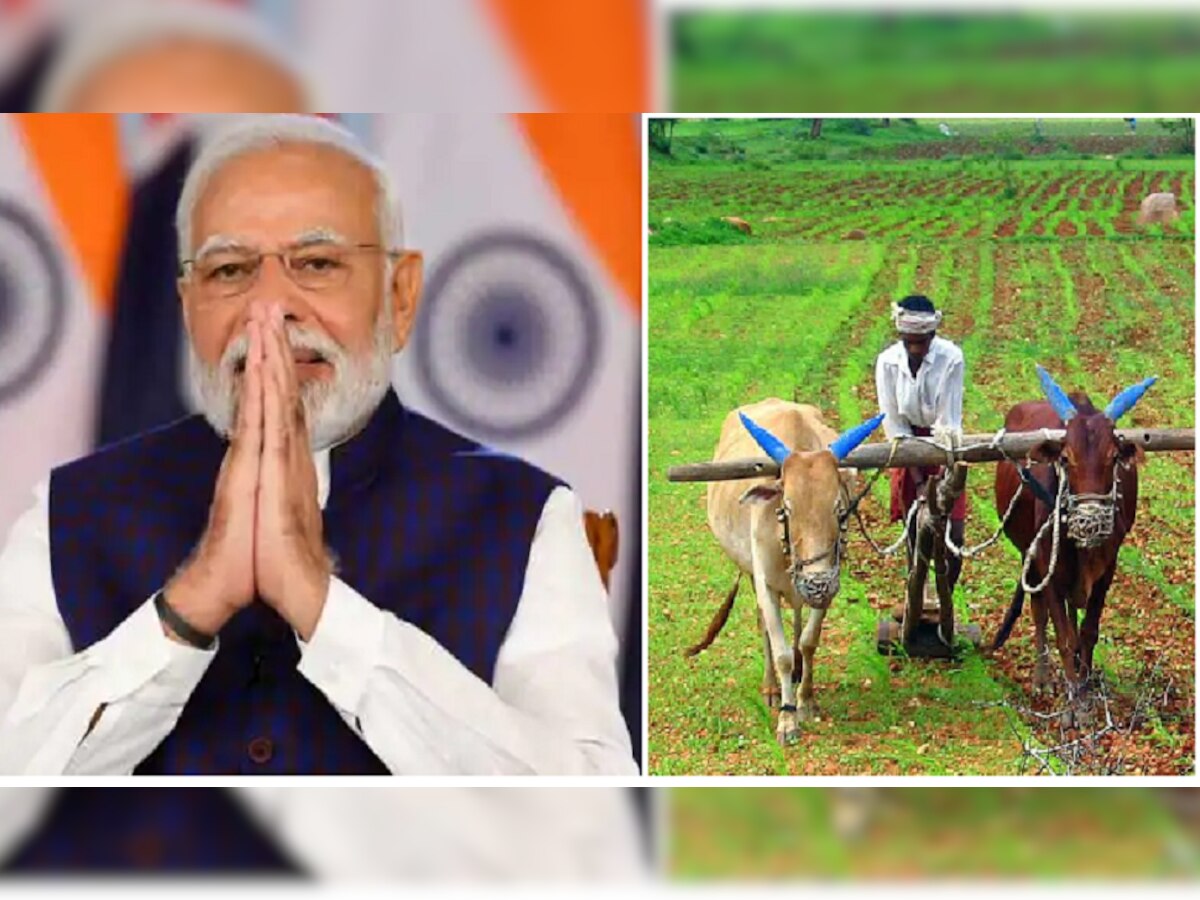 One Nation, One Fertilizer: पंतप्रधान नरेंद्र मोदींच शेतकऱ्यांसाठी दिवाळी गिफ्ट! वाचा... title=