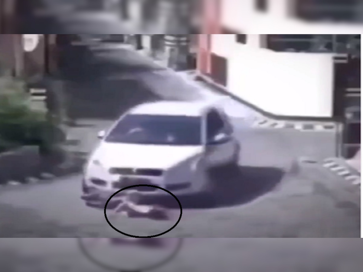  viral video: चिमुकलीच्या अंगावरून गेली गाडी.. अपघाताचा थरकाप उडवणारा व्हिडीओ व्हायरल  title=