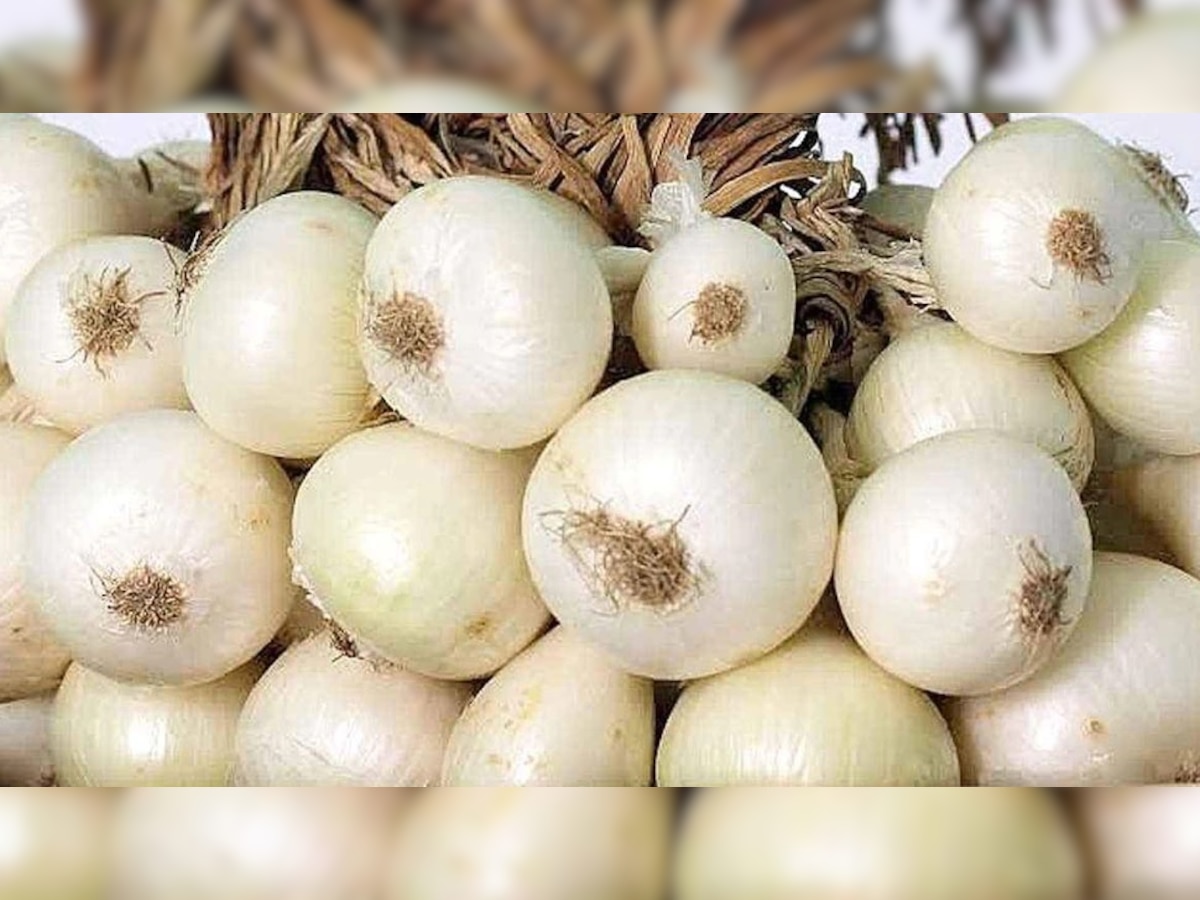 White Onion : पांढरा कांदा निरोगी आरोग्यासाठी गुणकारी, या समस्या होतील दूर  title=