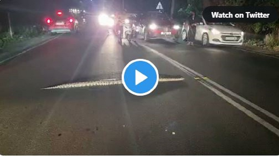 A big python cross the road but delivery boy not stop video viral on ...