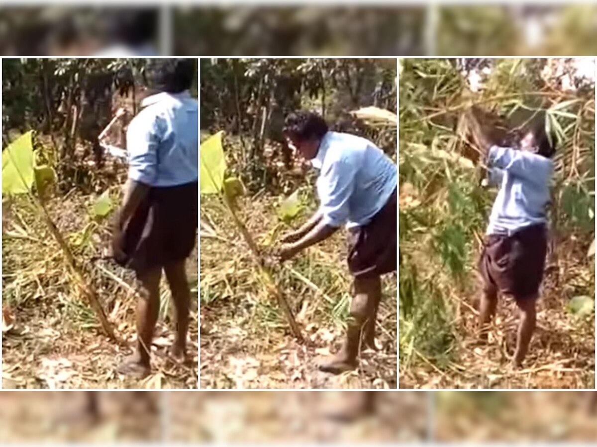 Viral Video : नोकरीतून निवृत्त झालेला व्यक्ती शेतात करतोय असं काही? Video पाहून तुम्हीही म्हणाल...  title=