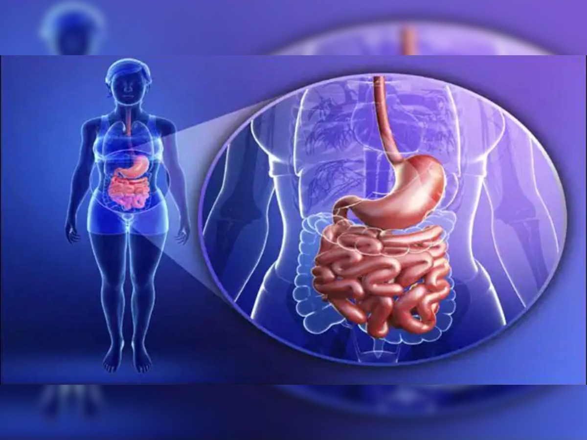 Digestive system : असं पचतं अन्न, जाणून घ्या पाचनतंत्र कसं काम करतं?  title=