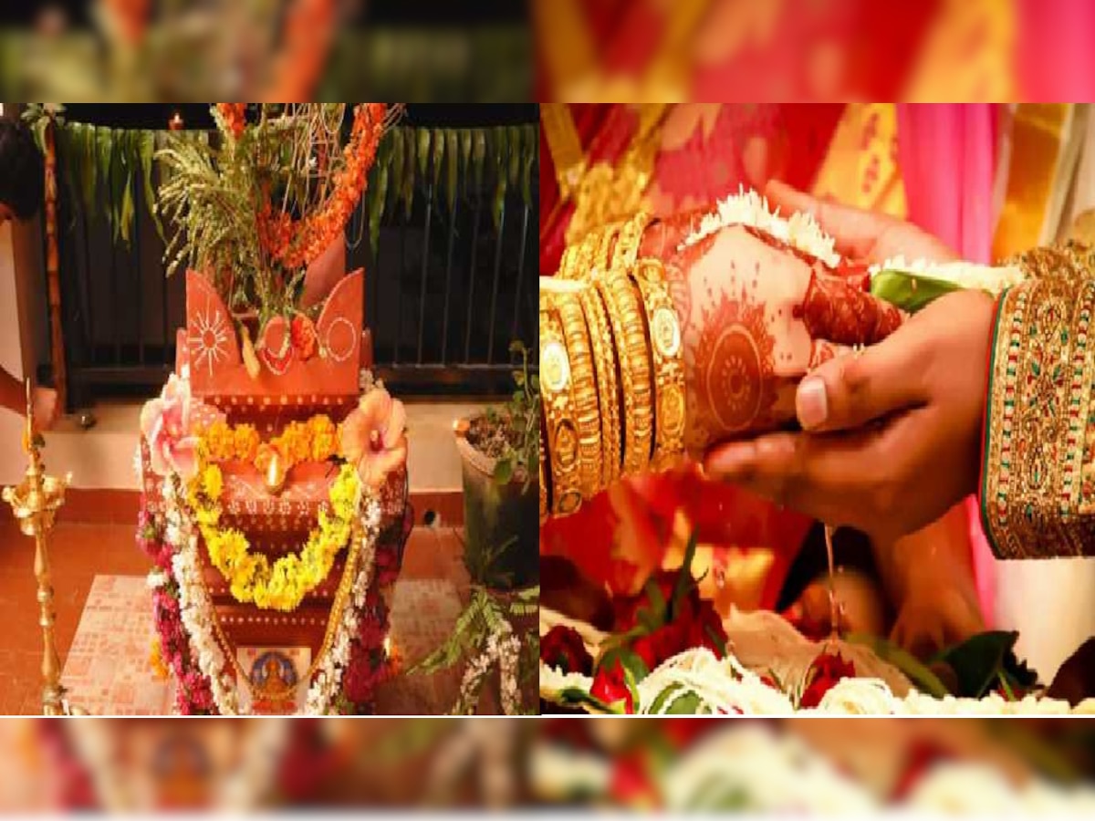 Tulasi Vivah 2022: तुळशीच्या लग्नानंतर शुभकार्य करताय? जाणून घ्या मुहूर्त, पूजा विधी आणि सर्वकाही  title=