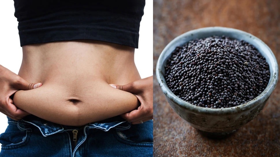 sabja or chia seeds for weight loss constipation bone health obesity