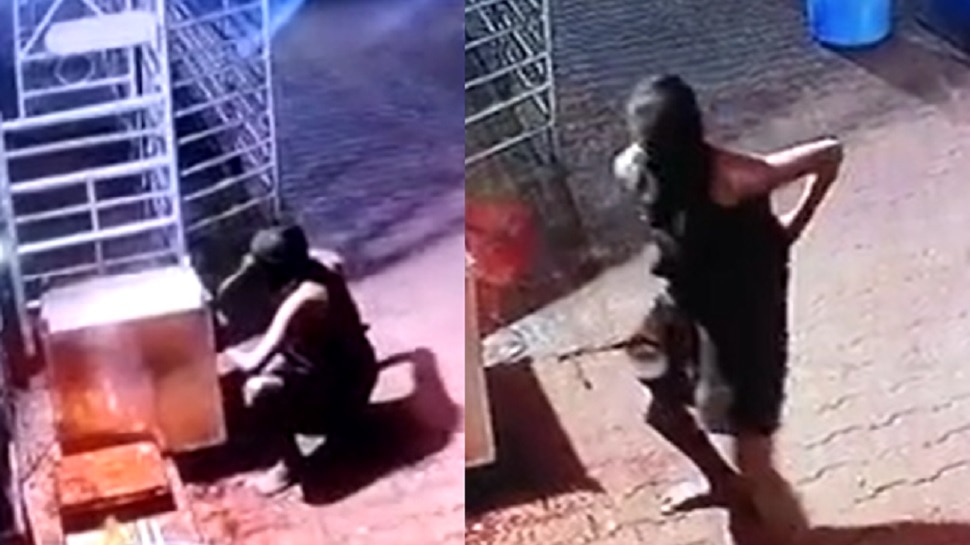 Video : चोरांनी देवालाही सोडले नाही, दानपेटी फोडण्याचा प्रयत्न CCTVत चित्रीत