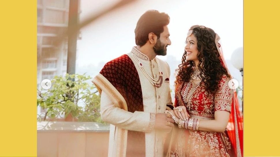 Palak Muchhal, Palak Muchhal photo, Palak Muchhal wedding, Palak Muchhal Wedding Pics, mithoon sharma wedding photo, mithoon sharma, marathi news, news in marathi 