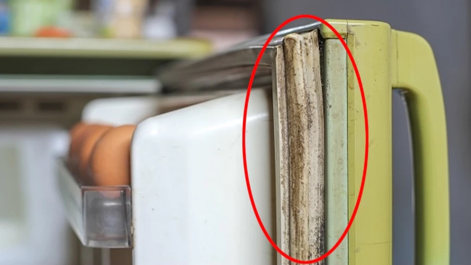 How To Clean My Refrigerator Seal at Albert Rios blog