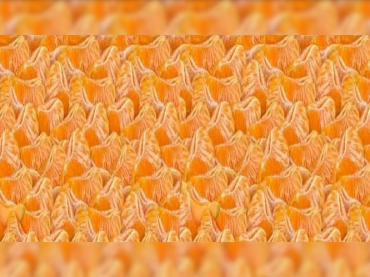 Optical Illusion : या सत्र्यांच्या फोडीत लपलंय एक फळ...तुमच्या तीक्ष्ण नजरेने फक्त 10 सेकंदात शोधून दाखवा... title=
