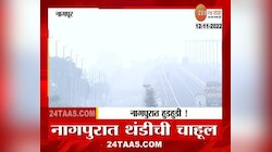 Foggy roads in Nagpur | नागपुरकरांनो सावधान, धुक्यात हरवली वाट