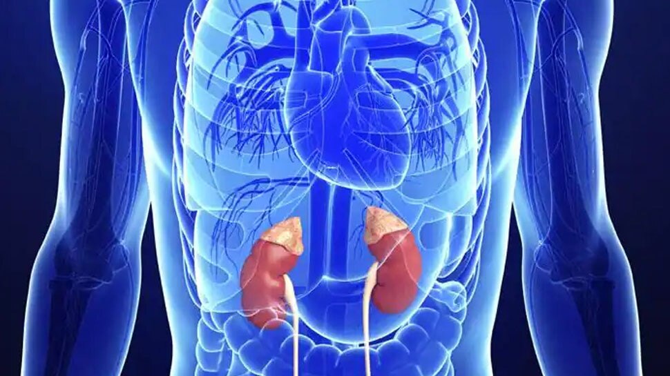 never-ignore-these-5-signs-of-kidney-failure