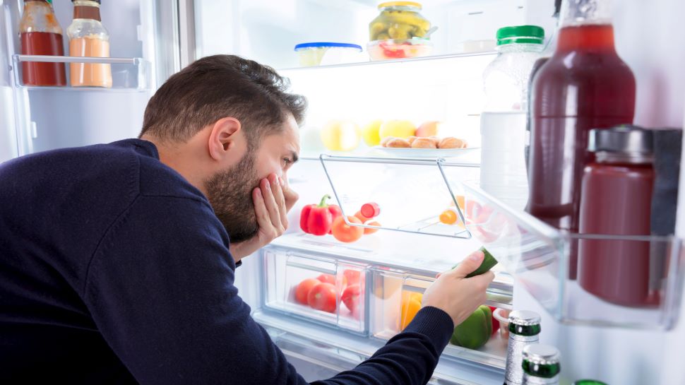 Smell From Refrigerator easiest solution to remove bad smell from
