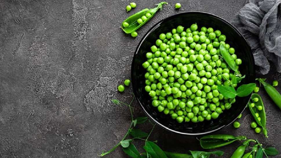 Peas Health Benefits Green peas help in weight loss during cold days