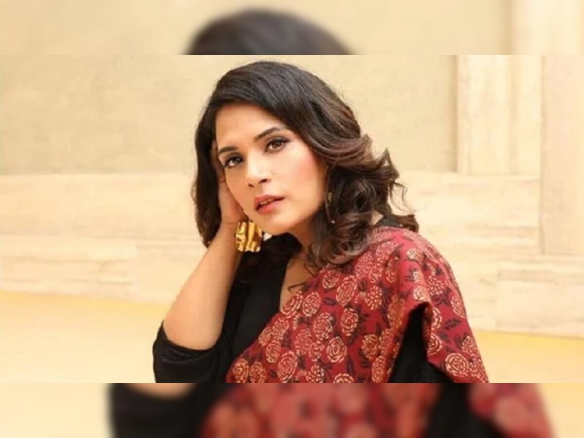 Galwan चा उल्लेख करत Richa Chadha नं उडवली भारतीय लष्कराची खिल्ली; भाजप नेत्यानं दिलं सडेतोड उत्तर  title=