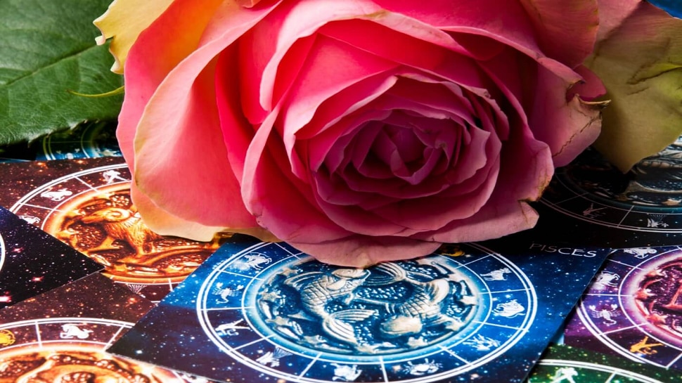 Astrology: गुलाब आणि ज्योतिशविद्या यांचा संबंध काय? वाचून नि:शब्द व्हाल 