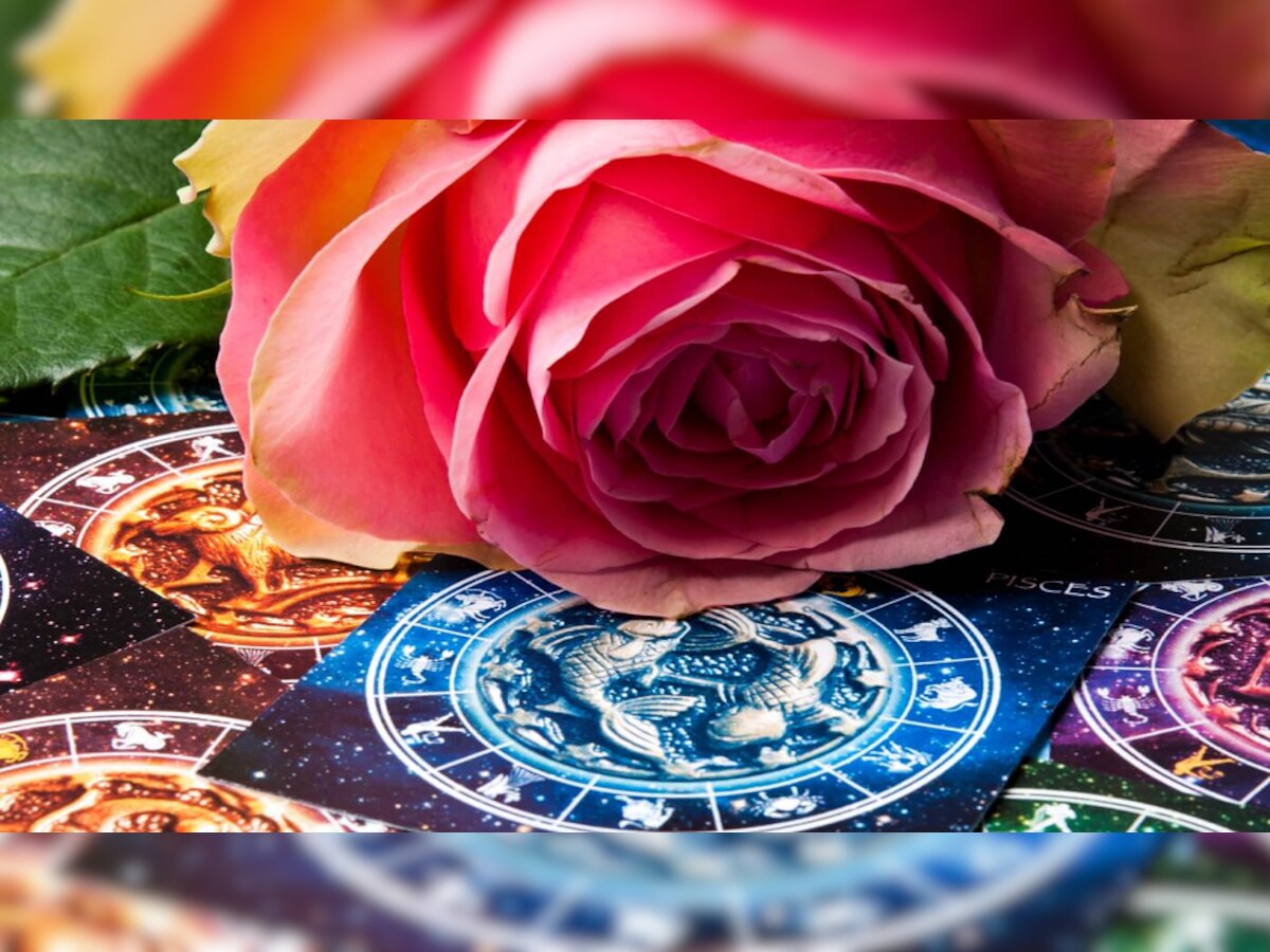 Astrology: गुलाब आणि ज्योतिशविद्या यांचा संबंध काय? वाचून नि:शब्द व्हाल  title=