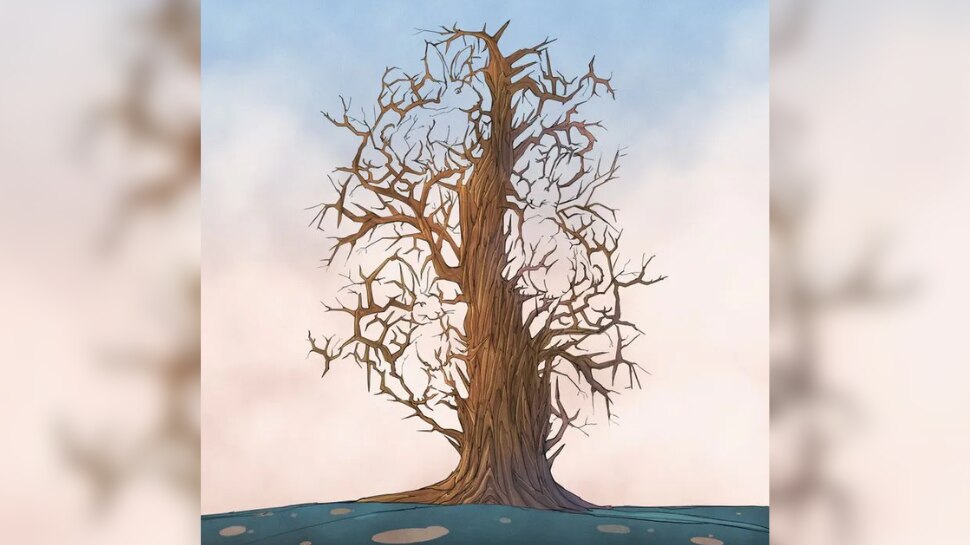 optical illusion can you spot the 3 bunnies mind game marathi news