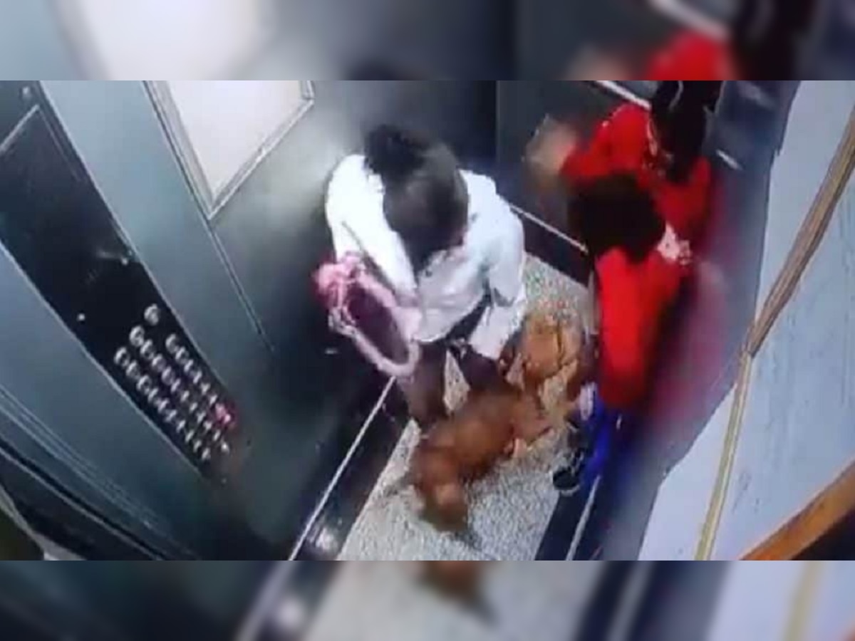  Video : लिफ्टमध्ये लहान मुलांवर कुत्र्याचा हल्ला अन्... title=