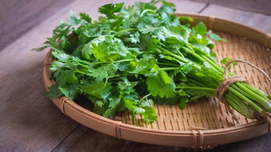 Health Benefits Of Coriander : 10 रुपयांची कोथिंबीर तुमच्यासाठी वरदान! फायदे जाणून व्हाल अवाक्