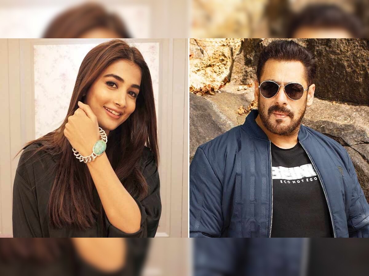 वयानं 24 वर्ष मोठा असणाऱ्या Salman Khan ला डेट करतेय Pooja Hegde?  title=