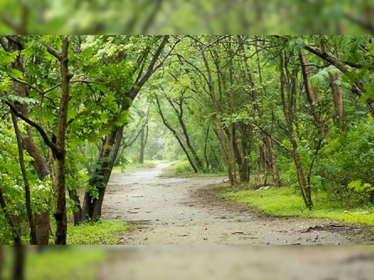 दुसऱ्यांच्या मैत्रिणीबरोबर कशाला फिरतोस? पुण्यात टेकडिवर फिरायला गेल्या तरुणाला संपवलं title=