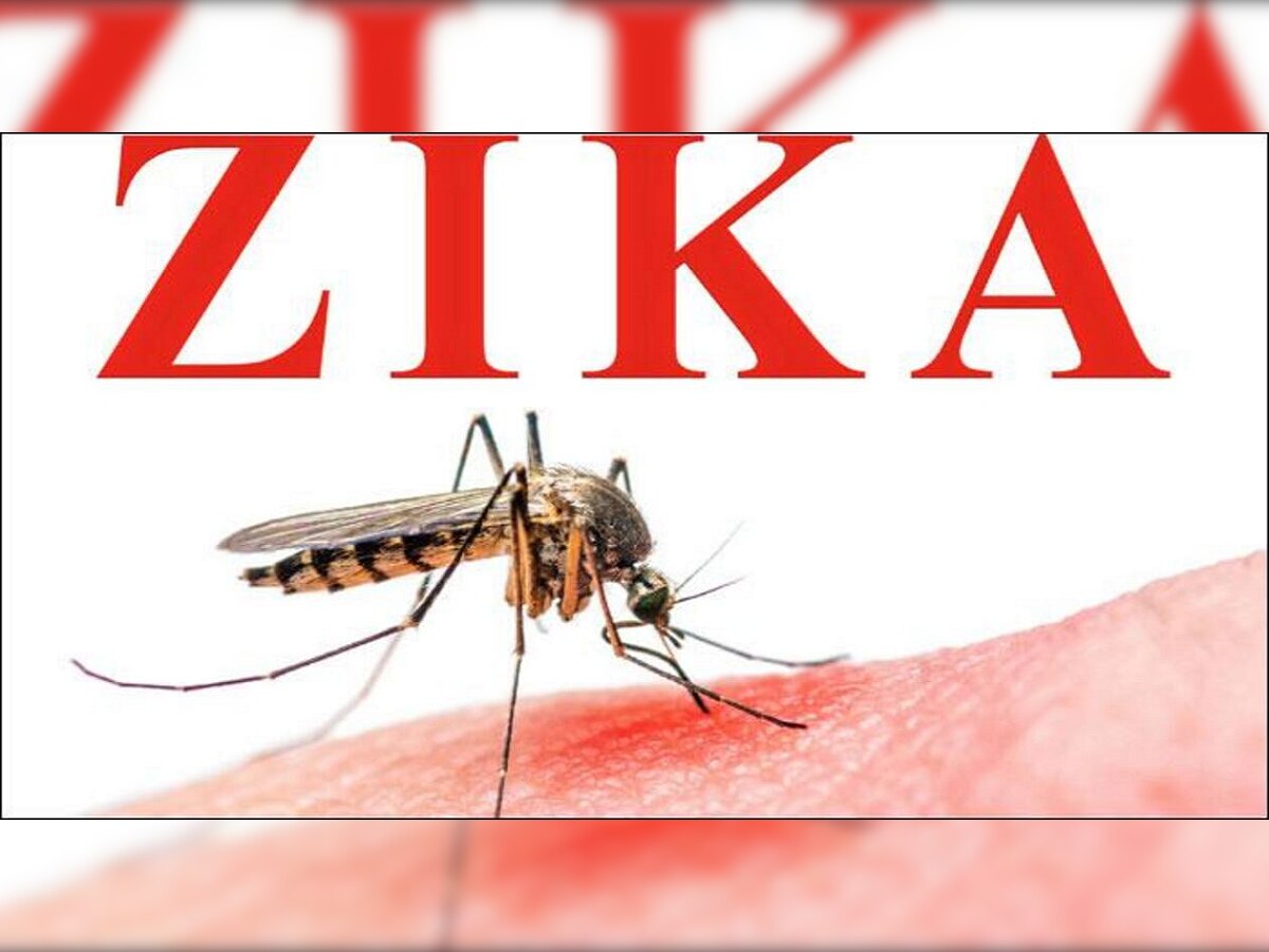 Zika virus : 5 वर्षांच्या चिमुकलीला झिकाची लागण; आरोग्य विभाग Alert  title=