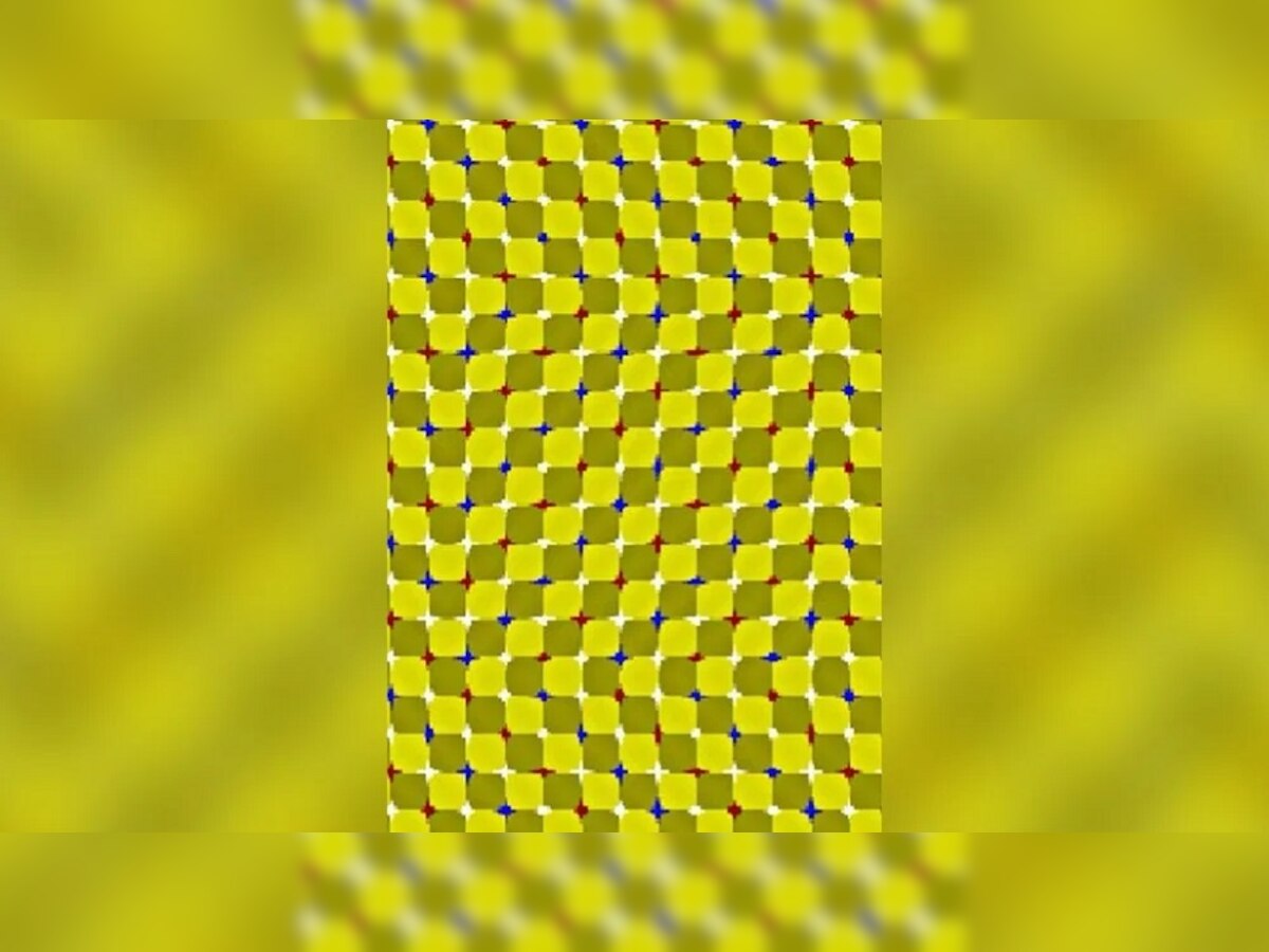 optical illusion : या फोटोतल्या वर्क रेषा ओळखा title=