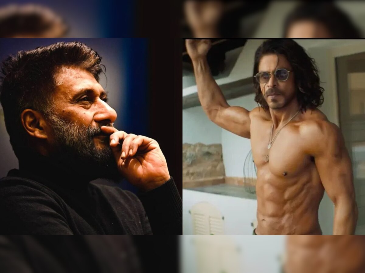 "बेशरम रंग" हे गाणे इन्स्टा रील सारखे, विवेक अग्निहोत्रींचा Shahrukh Khan ला टोमणा, चाहते भडकले  title=