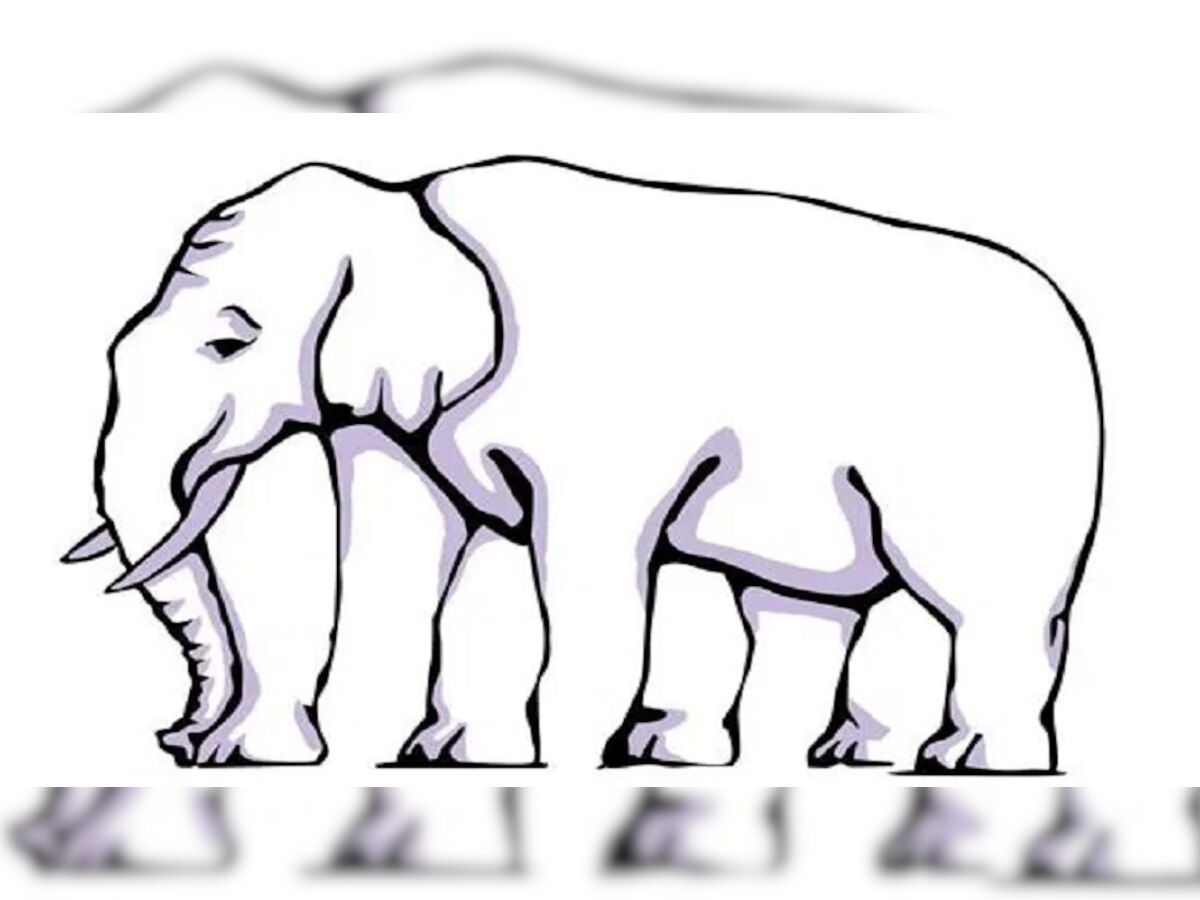 Optical Illusion : 'या' फोटोत हत्तीचे किती पाय दिसतायत? 20 सेकंदात उत्तर सांगा  title=