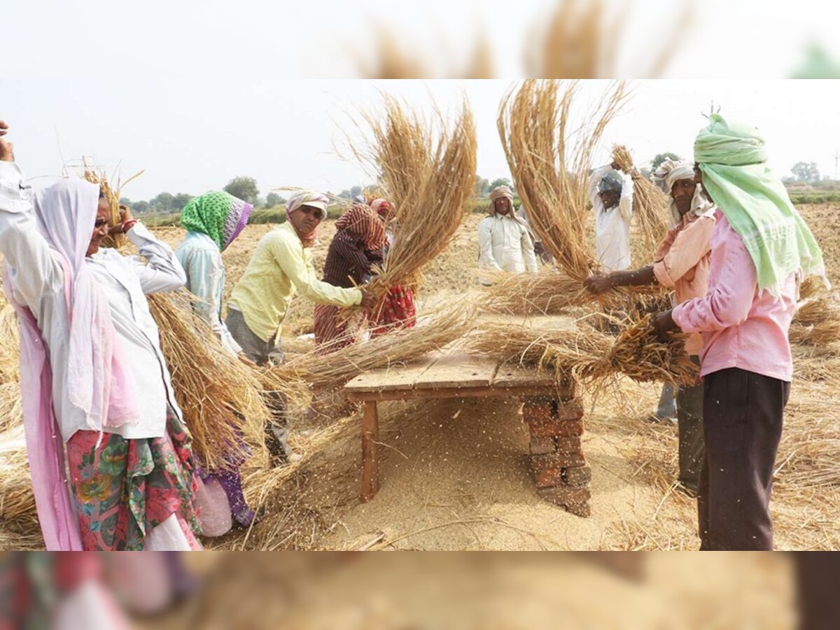 Farming : शेतकऱ्याचा देशी जुगाड! पाहा भाताच्या शेतीसाठी कशी चढवली शक्कल... title=