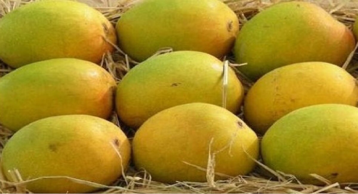 A box of mangoes in Pune for 41 thousand rupees vk पुणेकरांचा नाद