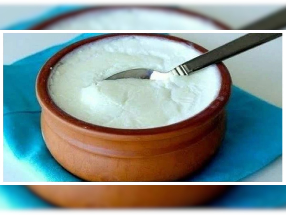 Curd: दह्यासोबत 'या' गोष्टी खात असाल तर आताच थांबा, अन्यथा होऊ शकतात गंभीर आजार title=