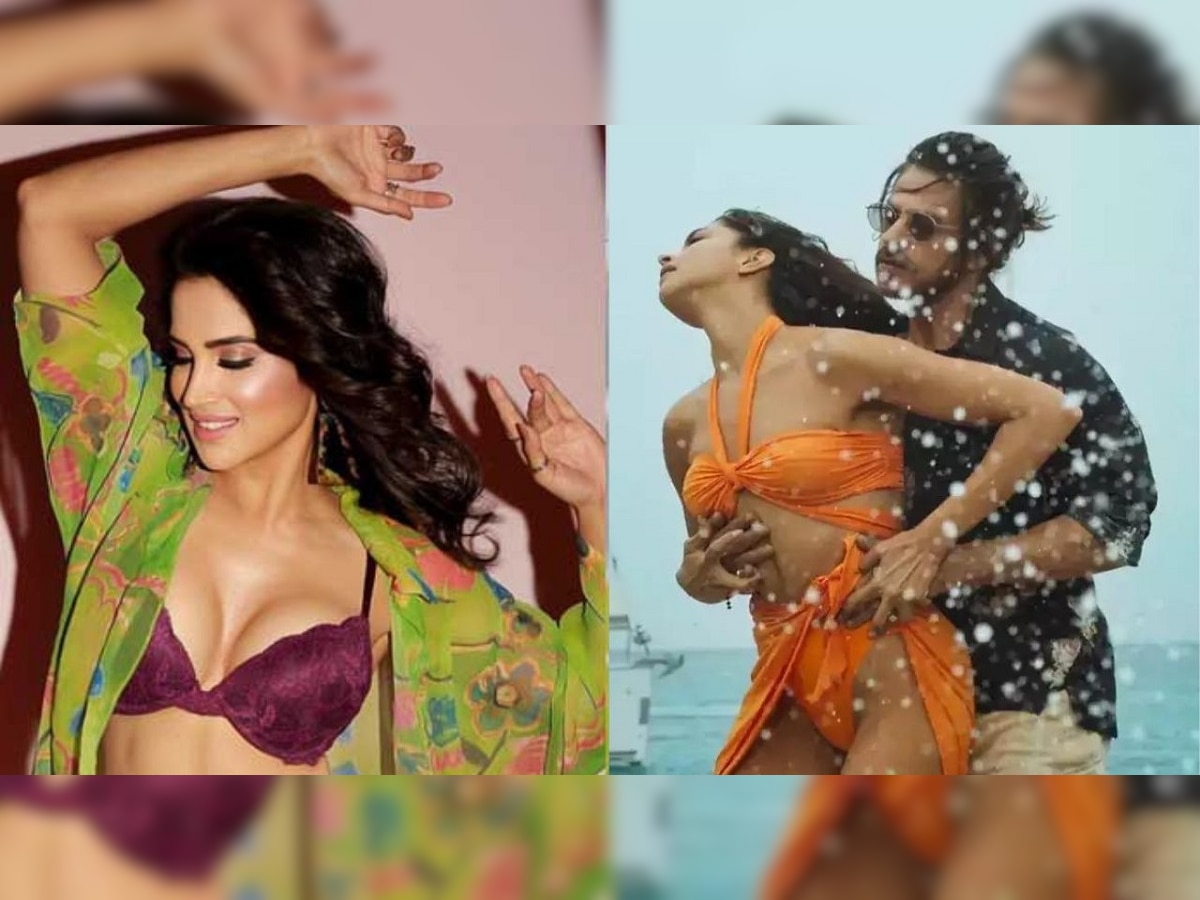 Bikini controversy: बिकनी वादात मराठी अभिनेत्रीची उडी, म्हणाली...'भगव्या रंगाची ब्रा...'  title=