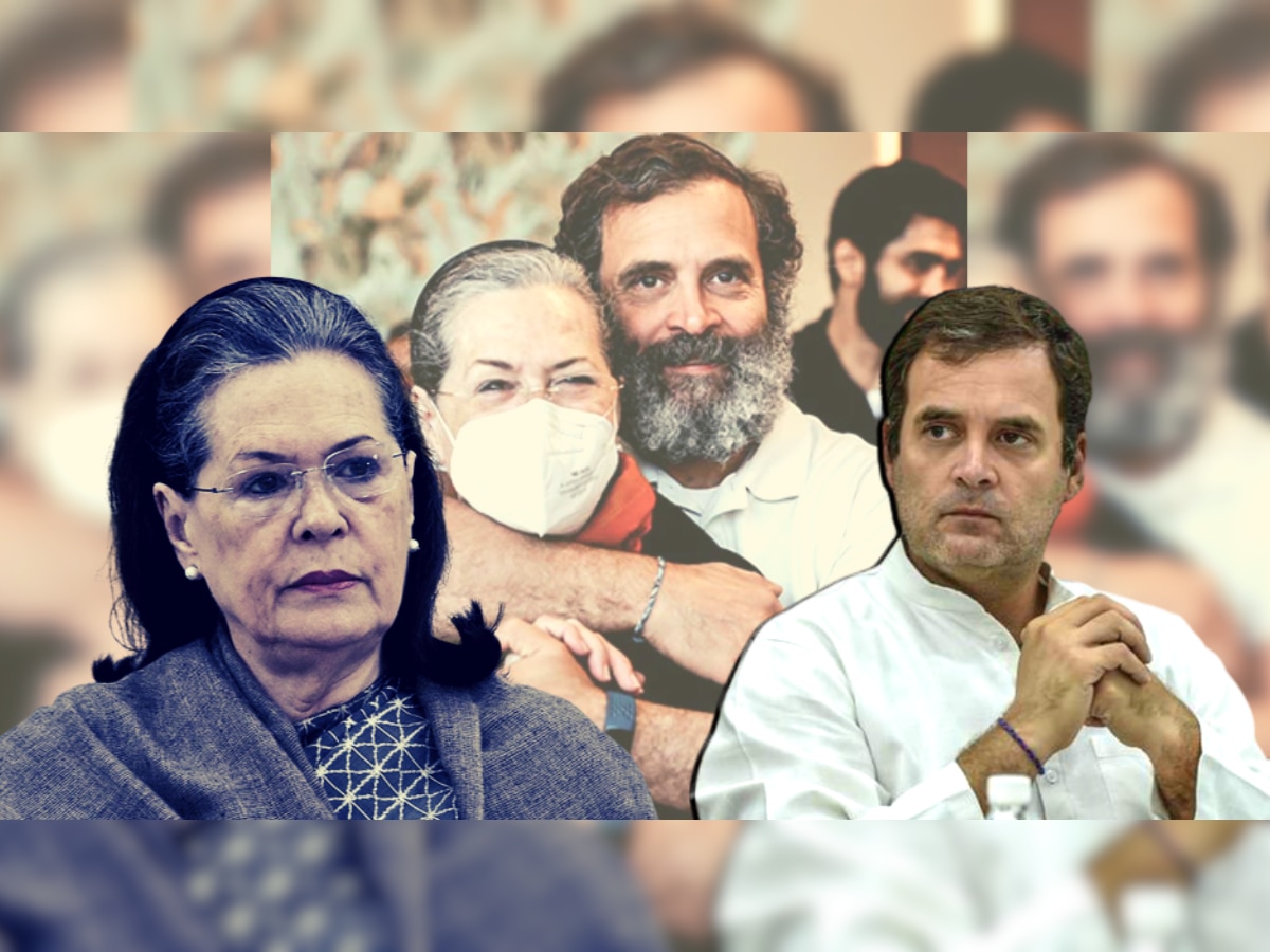 Rahul Gandhi: "सोनिया गांधी यांनीच राहुल गांधींना पंतप्रधान होऊ दिलं नाही" title=